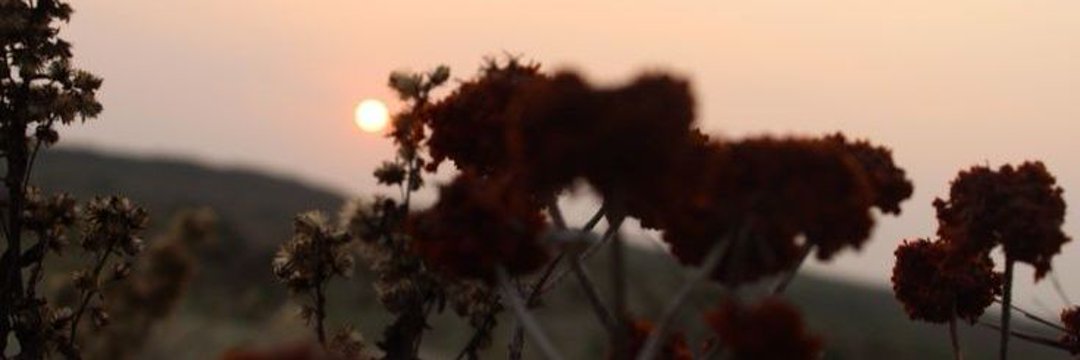 BayNurdan's profile banner image