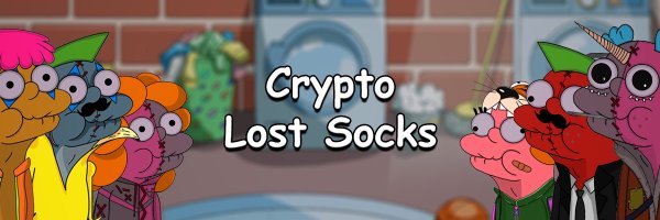 Crypto Lost Socks Profile Banner