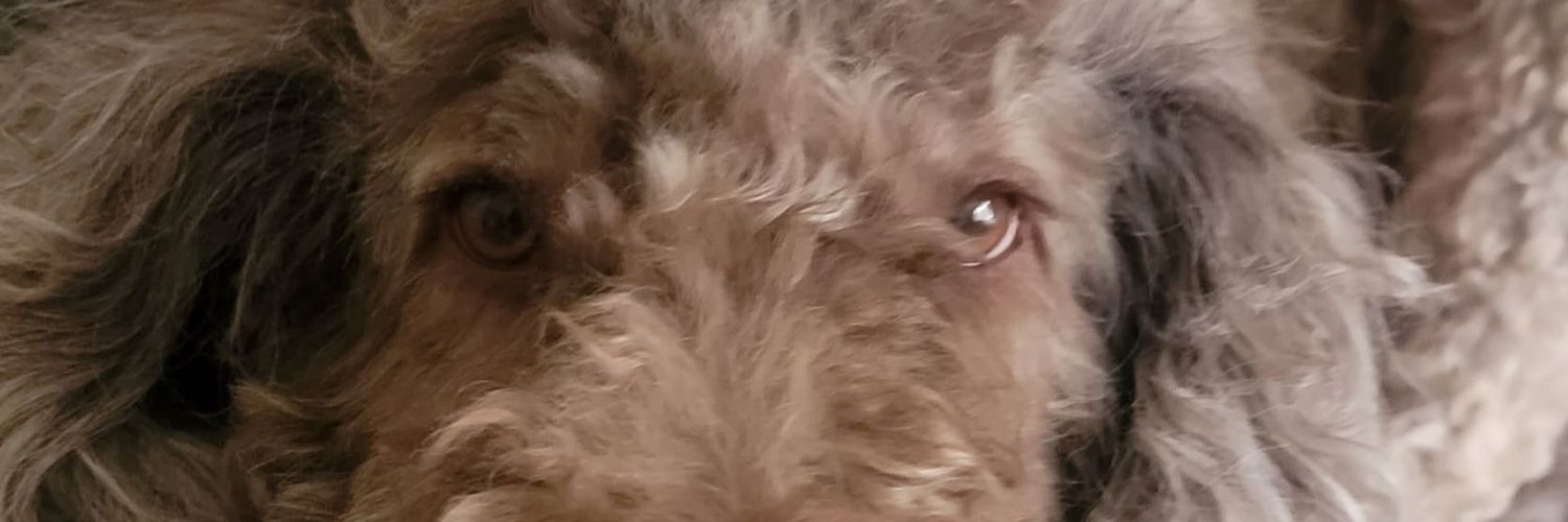Sylvie imananimwe banner