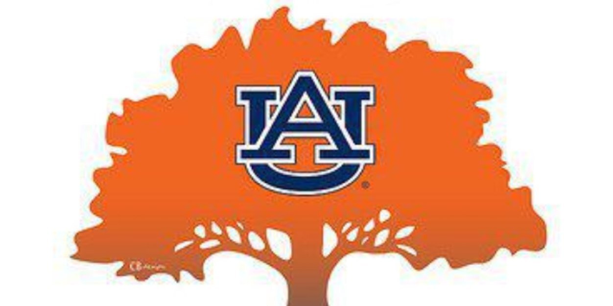 augirl90's profile banner image