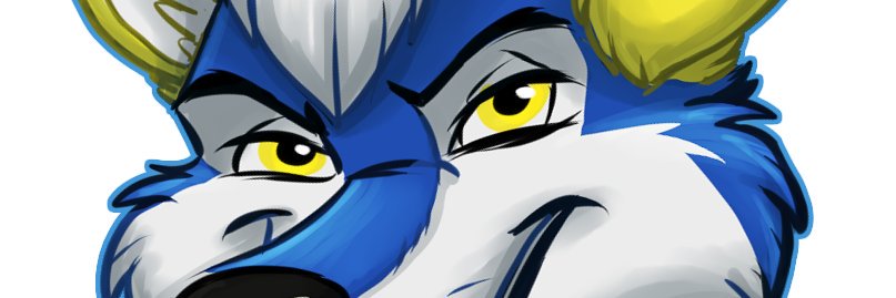 💛💙USH💙💛 banner