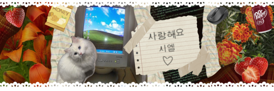⸝⸝ luciel banner