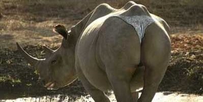 Humanethology's profile banner image
