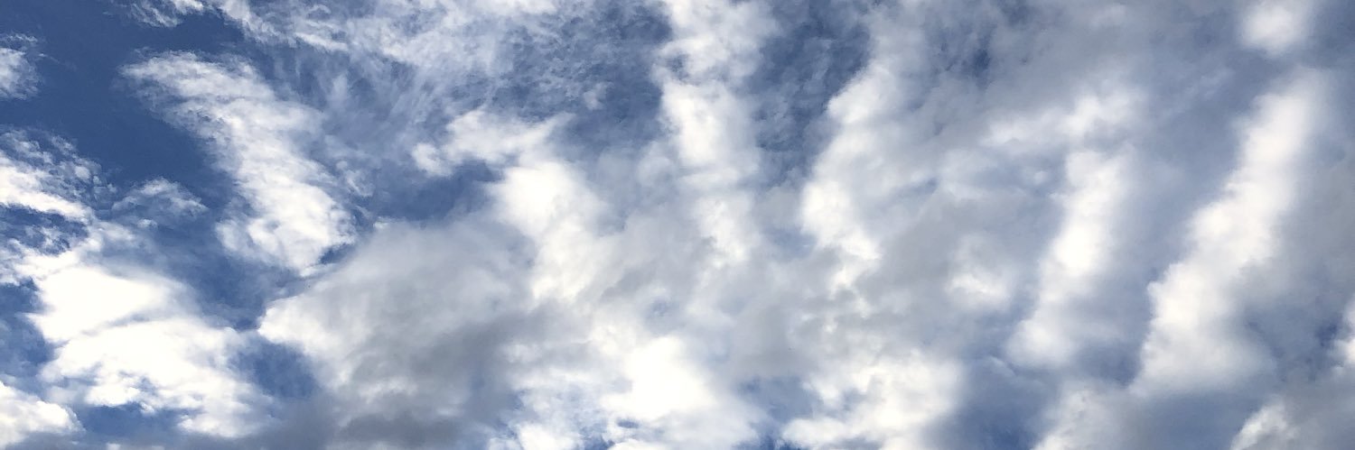 FantasyBigDog's profile banner image
