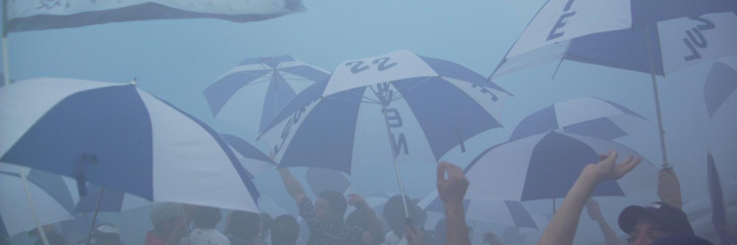 ALV banner