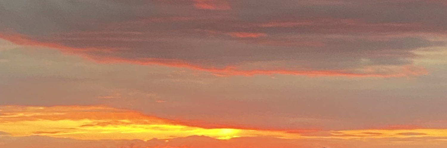 Could be worse banner