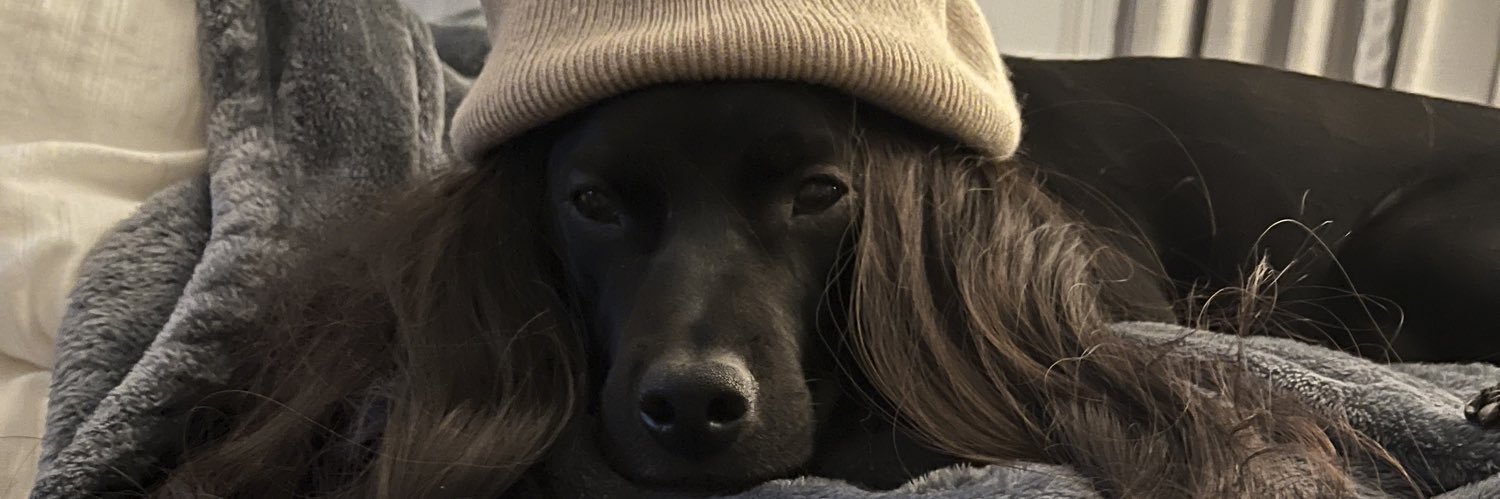 MollyFitttz's profile banner image