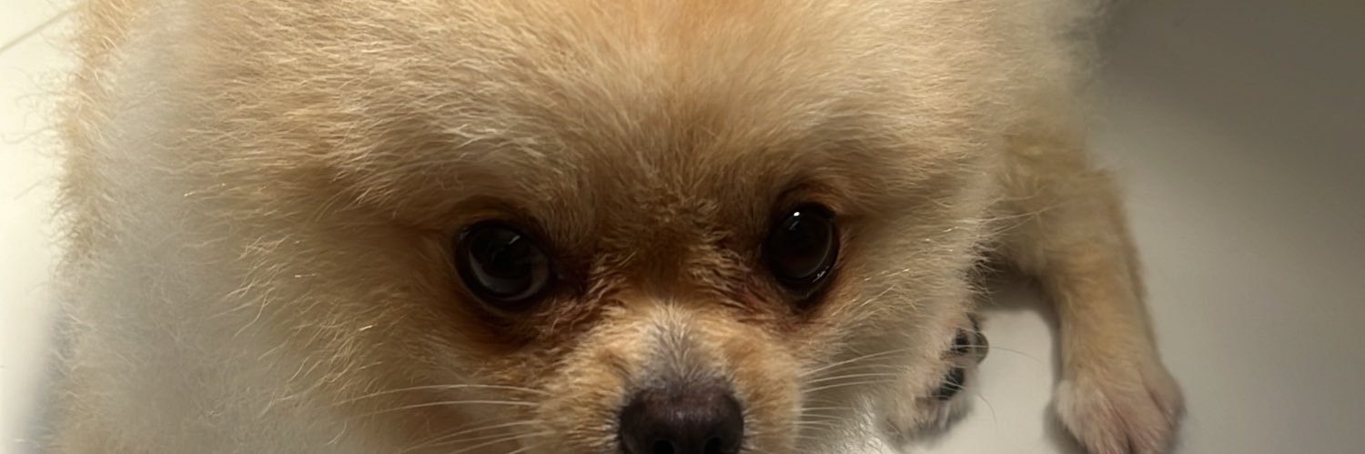 lucas banner