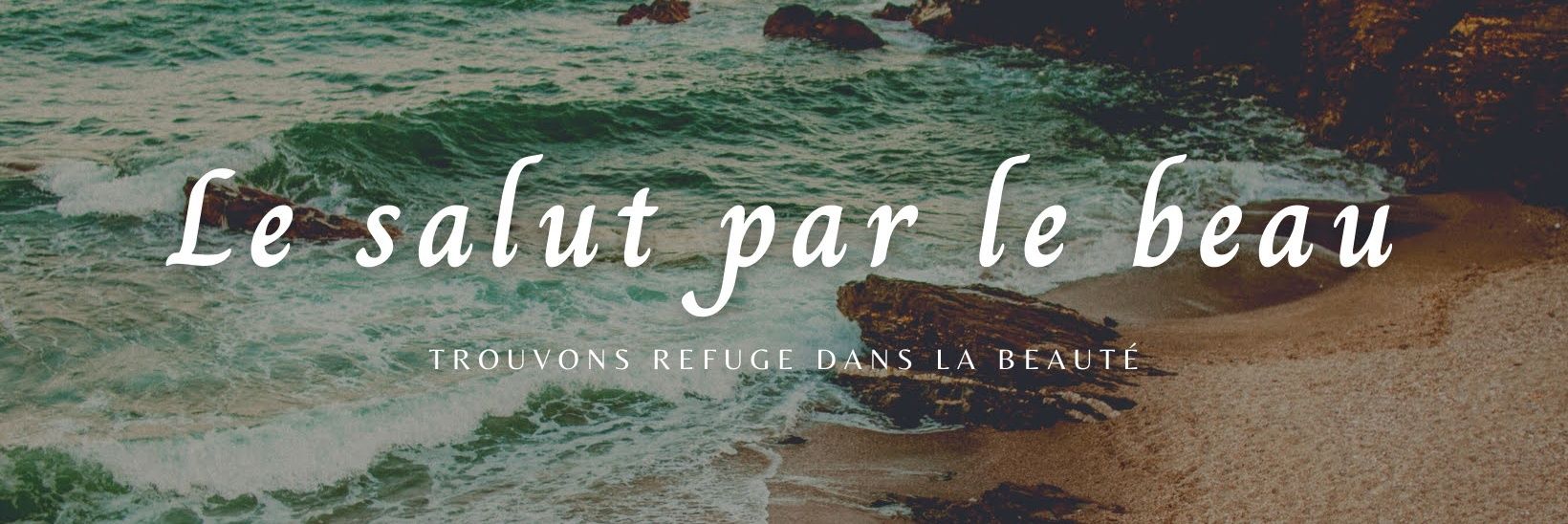 Le Salut par le Beau banner