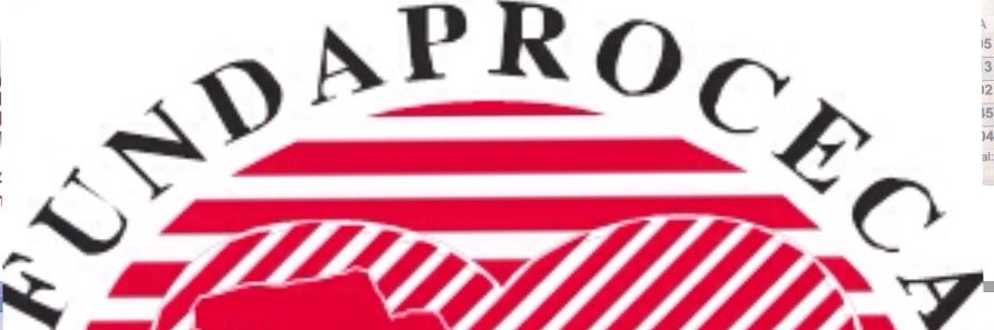 FUNDAPROCECA banner