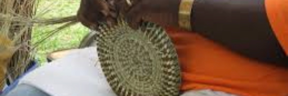 Geechee Girl, BSW, MSA banner