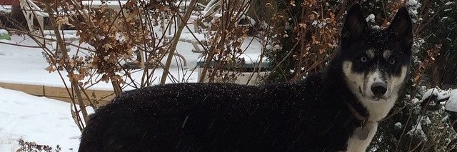 AnnearDay's profile banner image