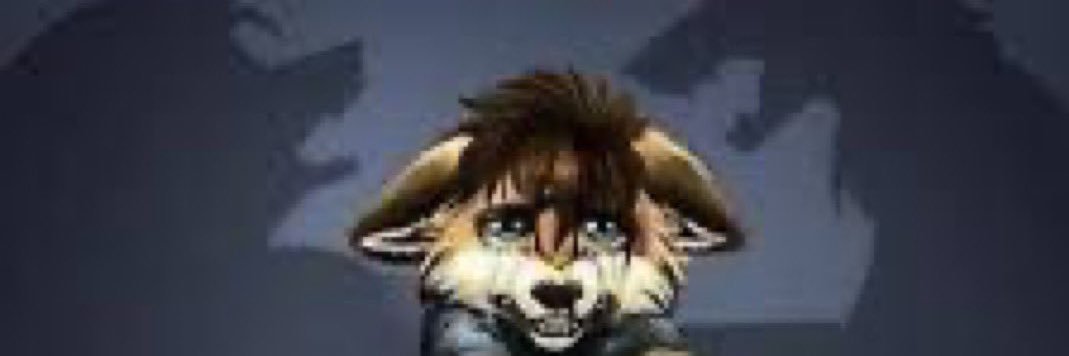 hoaxxcorp's profile banner image