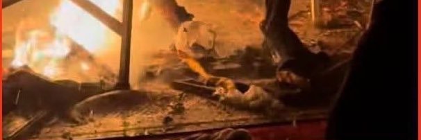 Roni Chitayat banner