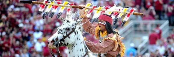 FSU banner