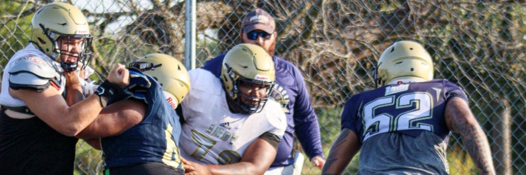 suray thomas banner