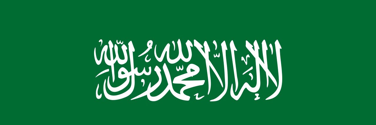 سلفستر ❗️MBS 🐪 banner