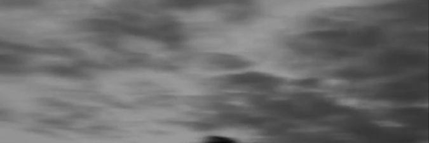 Maj9999d banner