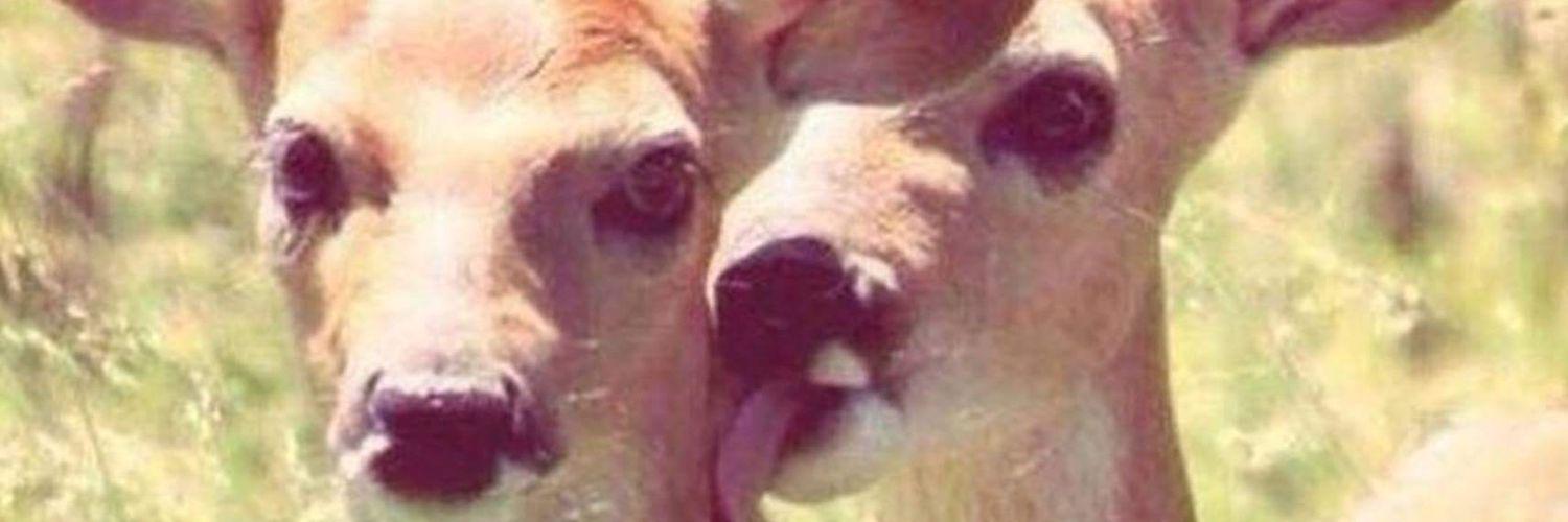 mmail0's profile banner image