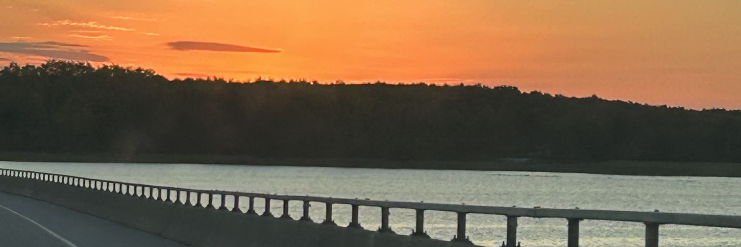 Frenzalo's profile banner image