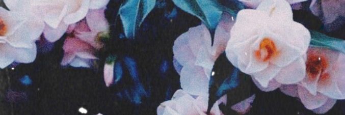 carlacuatica's profile banner image