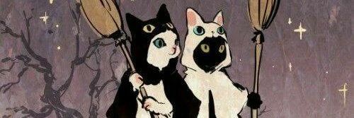 fungirry's profile banner image