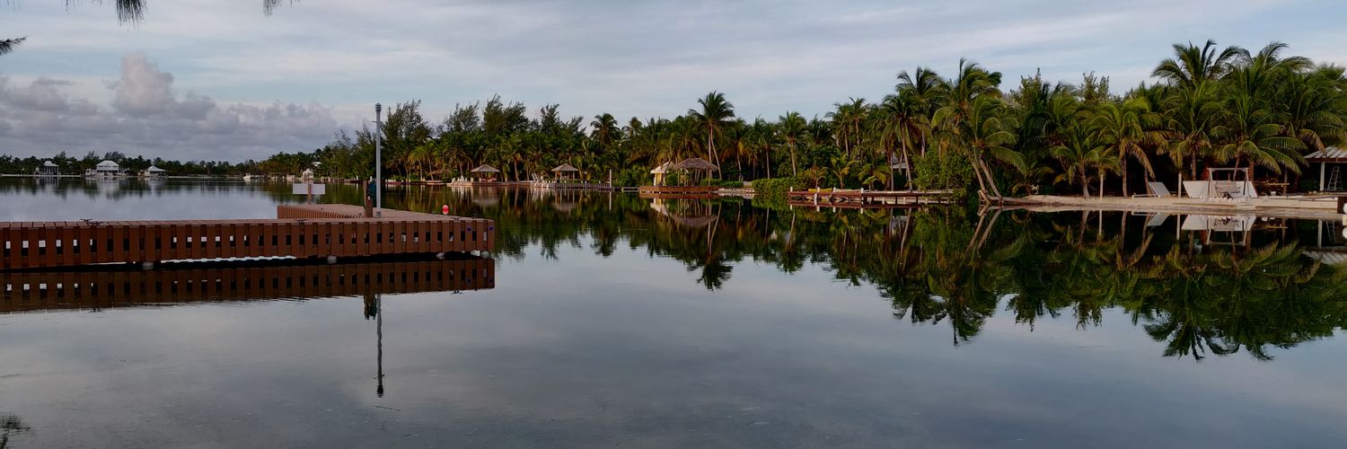 stwinn's profile banner image