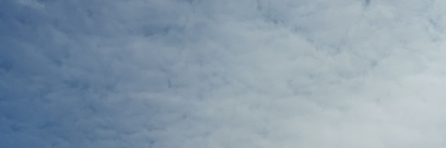blender20 banner