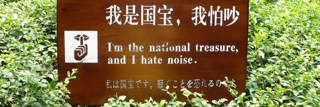 and_y's profile banner image