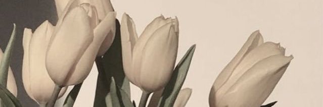syafa_qeyla's profile banner image