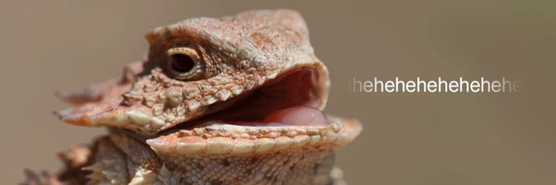 philooch's profile banner image