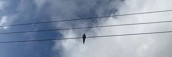 james_mccomish Profile Banner