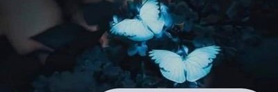 raye24 banner
