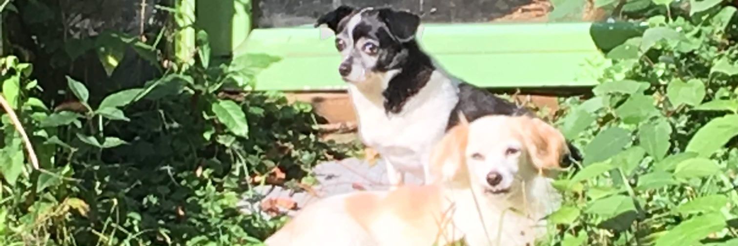 ZekeCato's profile banner image