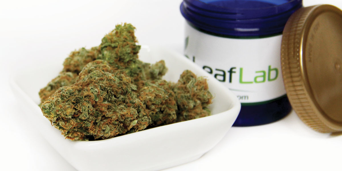 LeafLab's profile banner image