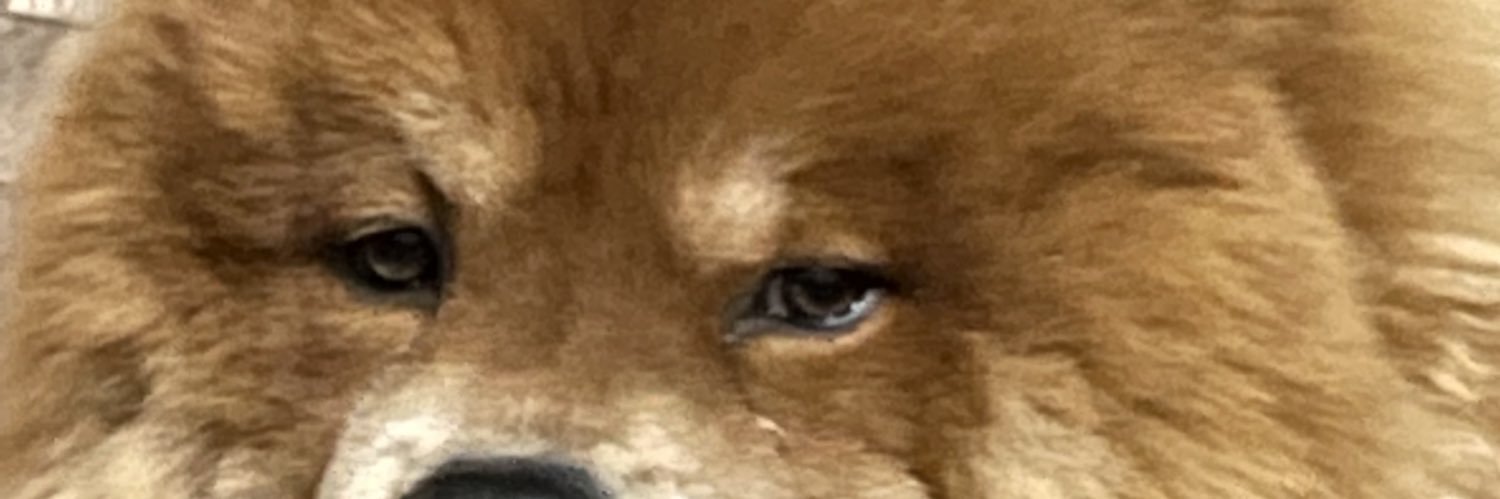 acurieltejeda's profile banner image