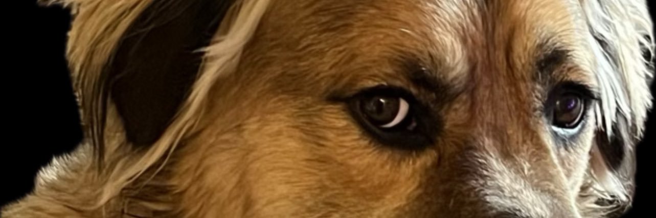 misscandice7's profile banner image