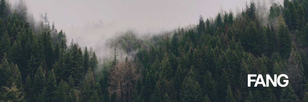 revistaFANG's profile banner image