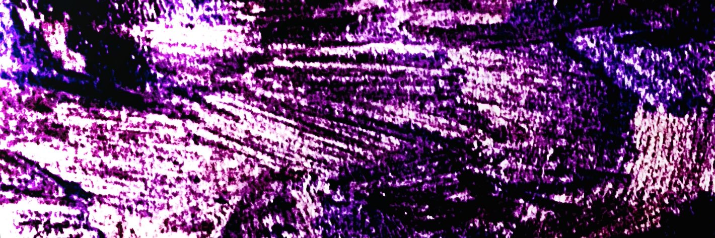vittenkitten's profile banner image