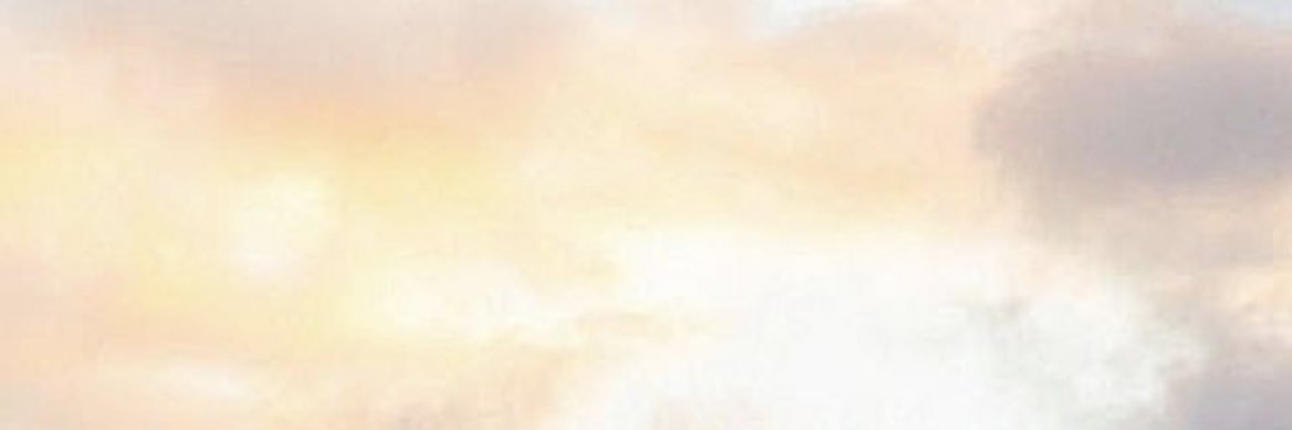MarukogeB's profile banner image