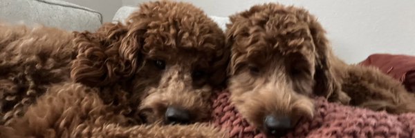 _csquared12 Profile Banner