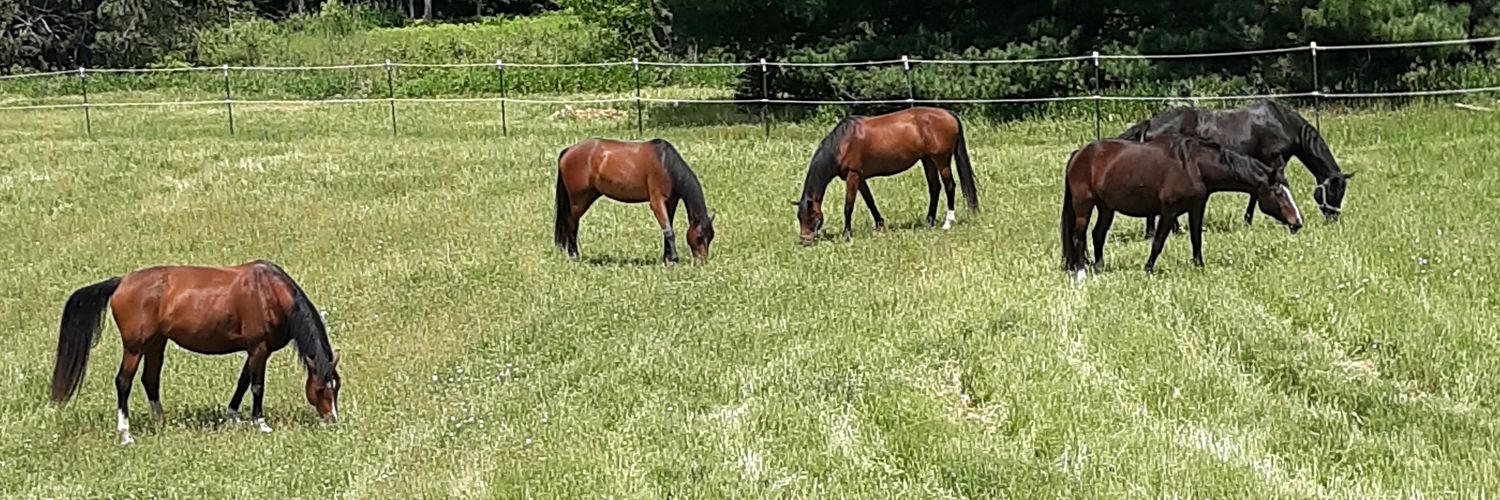 Sarah-Living the dream! and tired banner