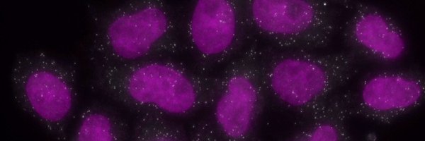 CAMcCormick20 Profile Banner