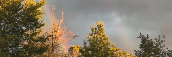 MPatrioness Profile Banner