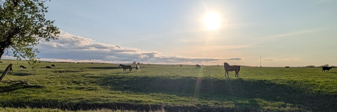 WarrenBuffering banner