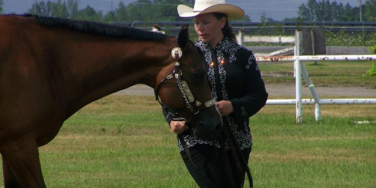 shadowfax2964's profile banner image
