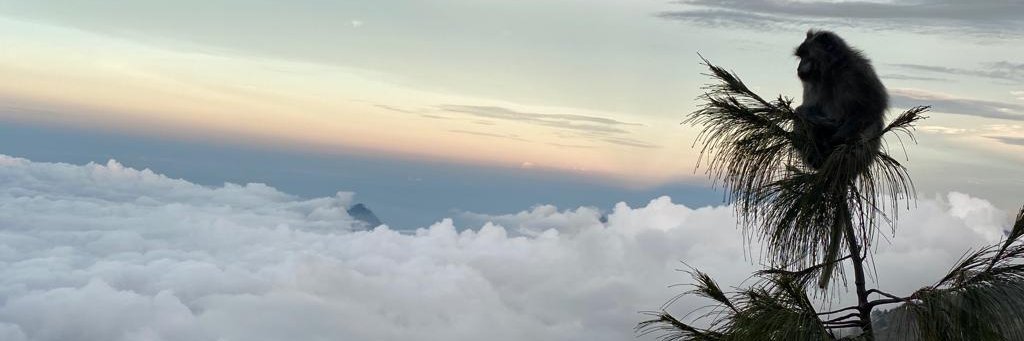 0xdins's profile banner image