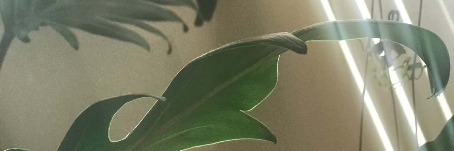 debukas's profile banner image