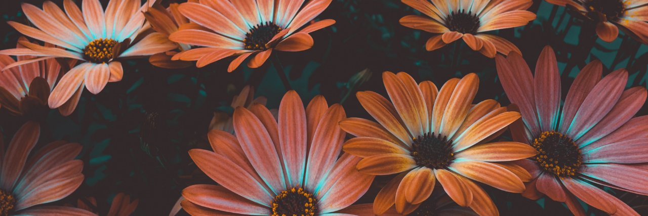 RedThread banner