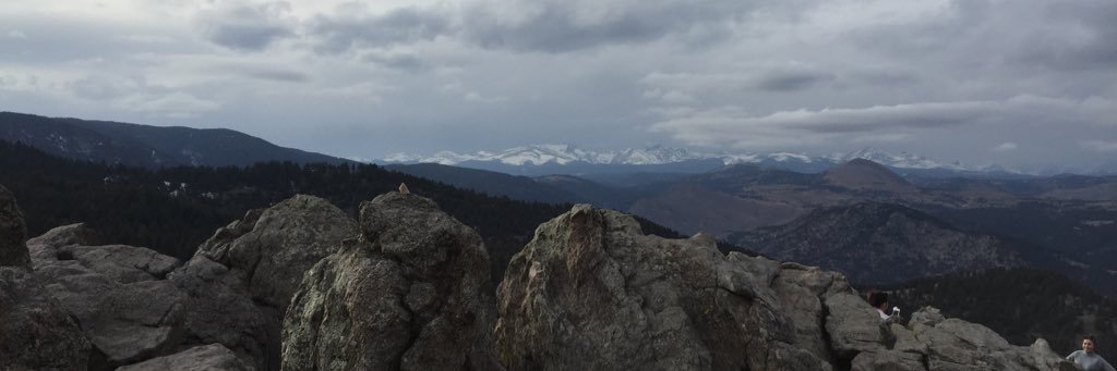 haleywileman's profile banner image